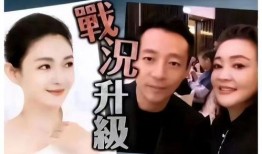 小杨阿姨最新爆料新闻,揭秘娱乐圈最新劲爆新闻