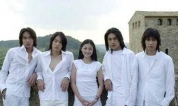 韩国f4最新爆料,揭秘偶像幕后真相与惊人内幕！