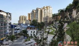 仪陇金城最新爆料,揭秘神秘项目背后的惊人真相