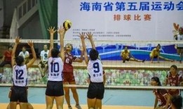 海南排球爆料最新消息
