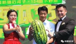 新疆最新瓜爆料,最新爆料揭秘！