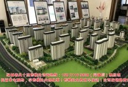 浙江绿城爆料最新消息,揭秘球队备战新赛季的幕后故事