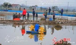 太仓浮桥镇爆料新闻最新