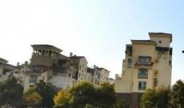 太仓浮桥镇爆料新闻最新