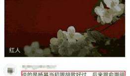 卓伟爆料于正最新消息,于正最新动态揭秘