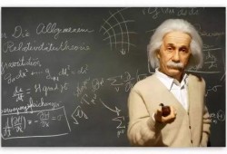 哈佛教授爆料视频大全最新,最新爆料视频大全深度解析