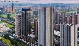 龙岗区刘先生爆料事件最新,揭秘背后真相与争议