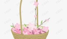 花篮网爆料最新网站下载,最新网站下载背后的秘密与趋势