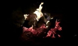 冒险最新爆料视频下载安装