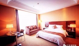 御晟酒店爆料视频最新消息,揭秘酒店内幕，真相令人震惊！