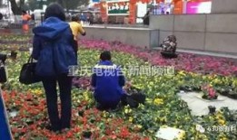 重庆小学爆料最新消息,揭秘校园事件背后的真相