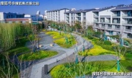 太仓浮桥镇爆料新闻最新