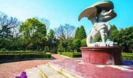 中山公园最新爆料新闻,神秘事件引发公众热议