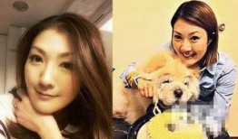 福州娱乐圈爆料事件最新,最新爆料事件揭秘