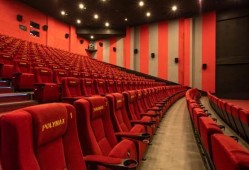 南京电影院爆料案件最新,真相渐浮水面，疑云终将揭晓