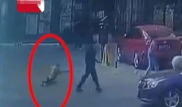 最新兰州爆料视频,城市变迁与民生发展