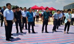 南阳五中最新爆料,揭秘校园风云背后的故事