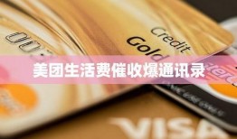 美团生活费最新爆料,揭秘生活费背后的消费秘密与优化策略