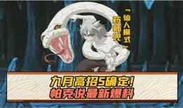 仙人兜最新爆料,最新爆料背后的惊人真相