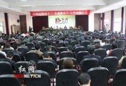 通道县红网最新爆料,揭秘XX事件背后真相