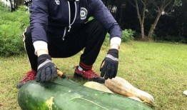 新瓜最新爆料长椅视频,长椅视频揭示惊人真相