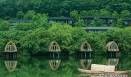 大连事故爆料最新消息查询,揭秘事故原因与后续处理措施