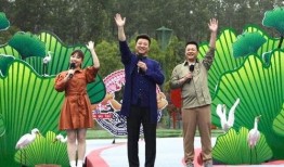 雷狼最新爆料新闻视频,最新爆料新闻视频深度解析