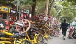 郑州自行车最新爆料消息,揭秘未来城市出行新选择