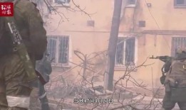 退伍美军爆料视频最新,退伍军人揭露战场真实情况与惊人内幕