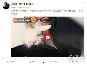 石家庄出轨爆料事件最新,最新爆料揭露惊人真相