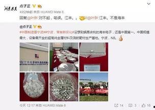 宁波爆料网络事件最新,揭秘背后真相与网络舆论风暴