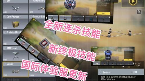 体验服最新全爆料