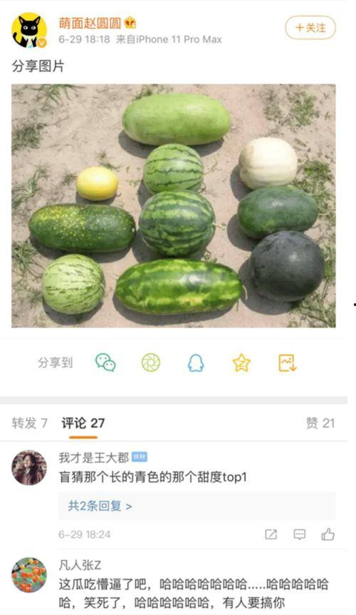 新瓜最新爆料在哪里看的